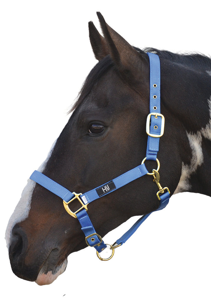 HY Adjustable Horse Head Collar Blue