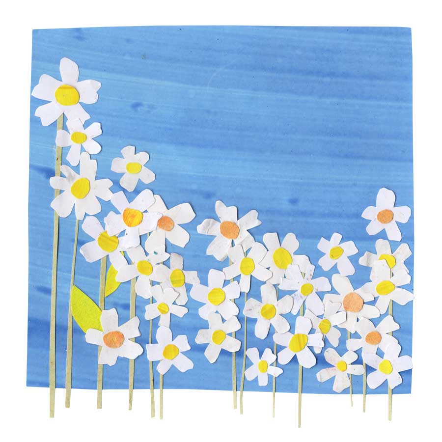 Female Birthday card, daisies and blue sky