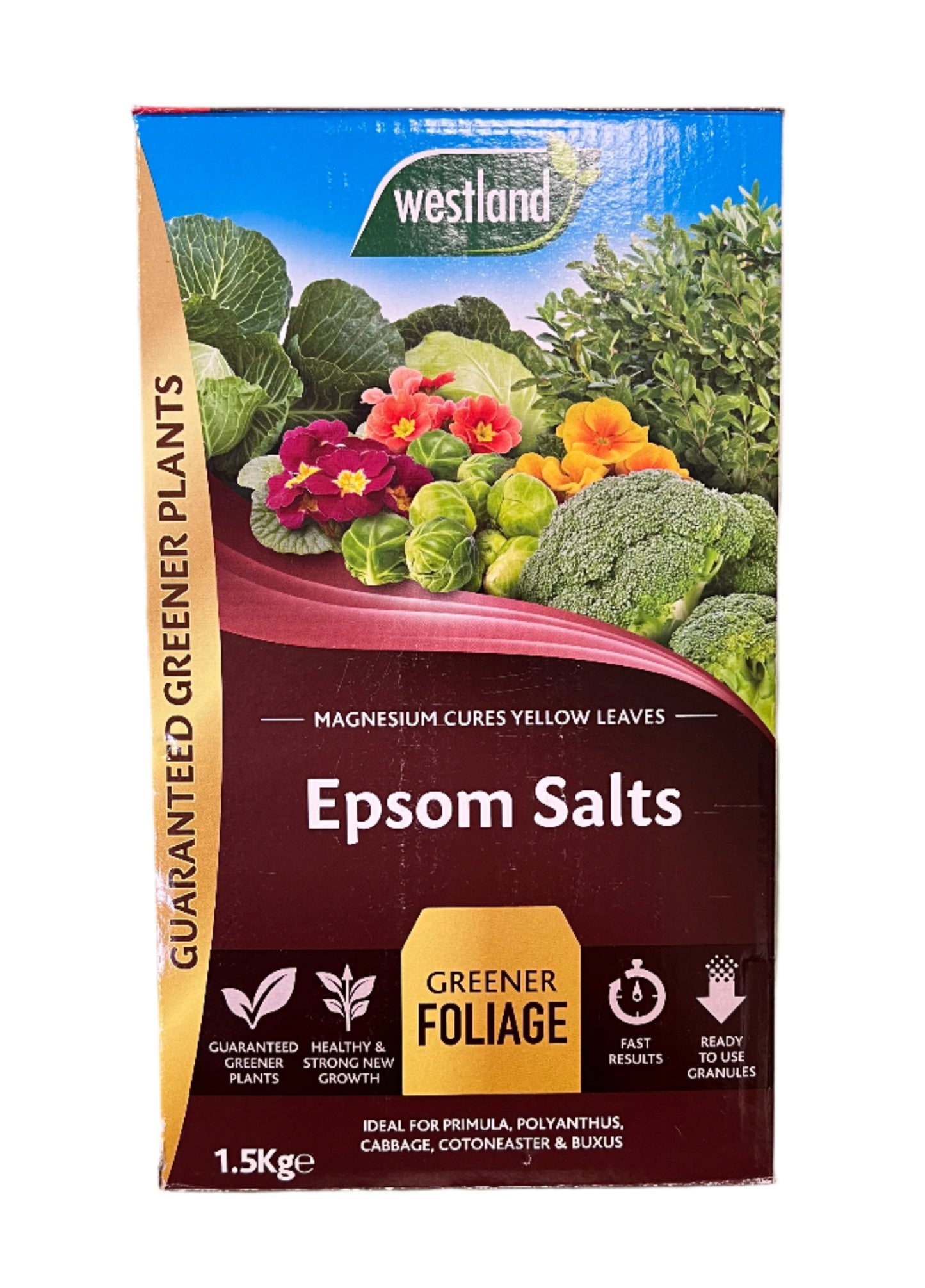 Westland Epsom Salts Greener Foliage 1.5kg