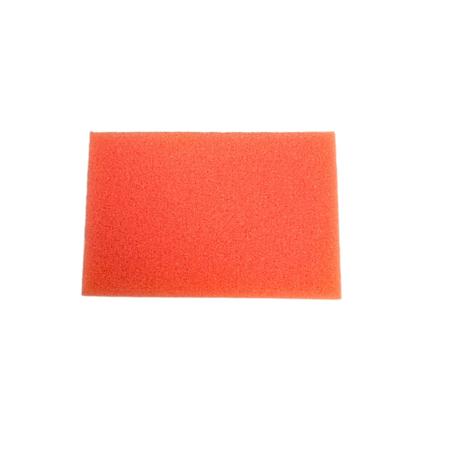 Large Colour Sponge