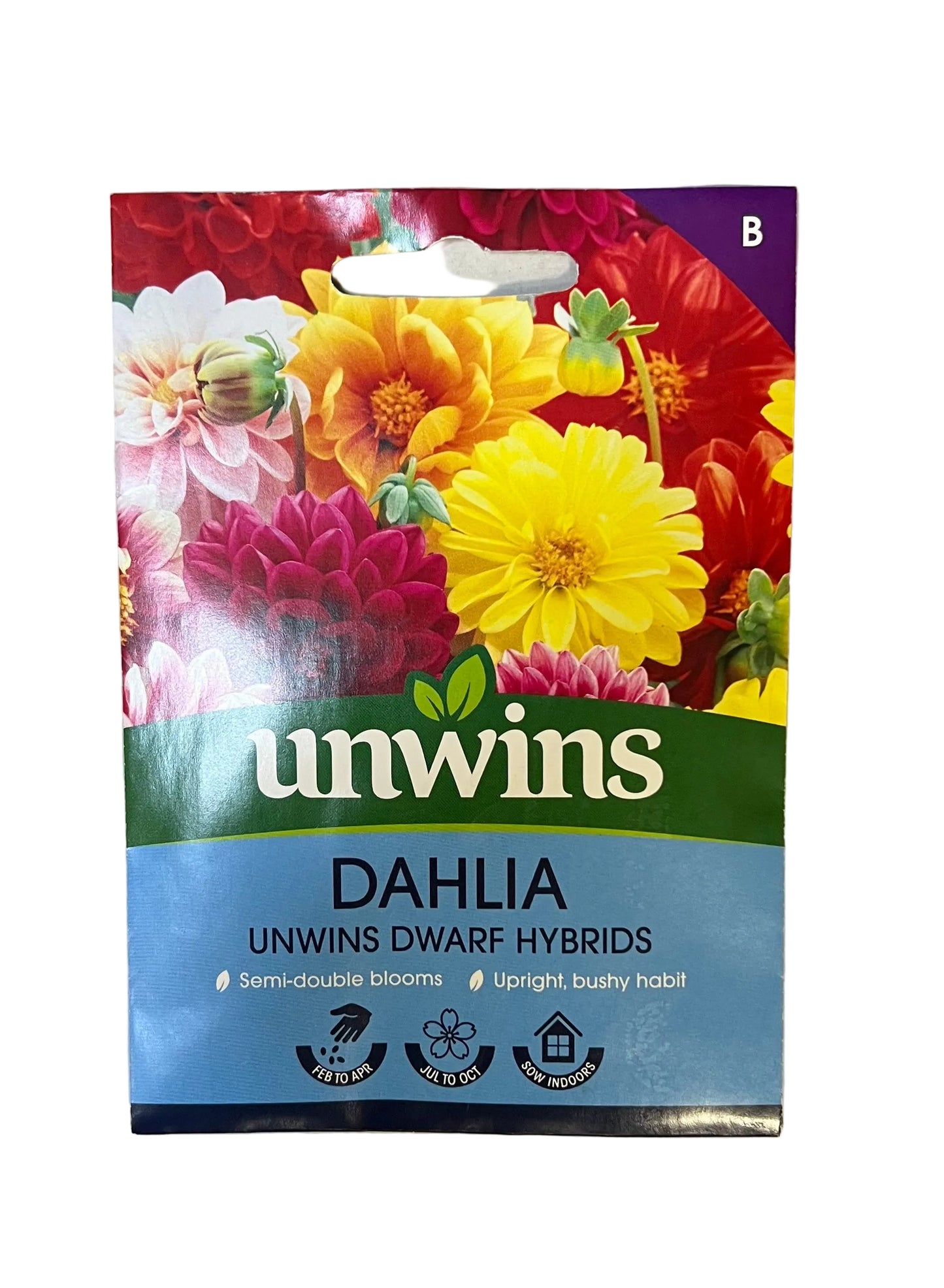 Unwins Dahlia Dwarf Hybrids – Flower Seeds