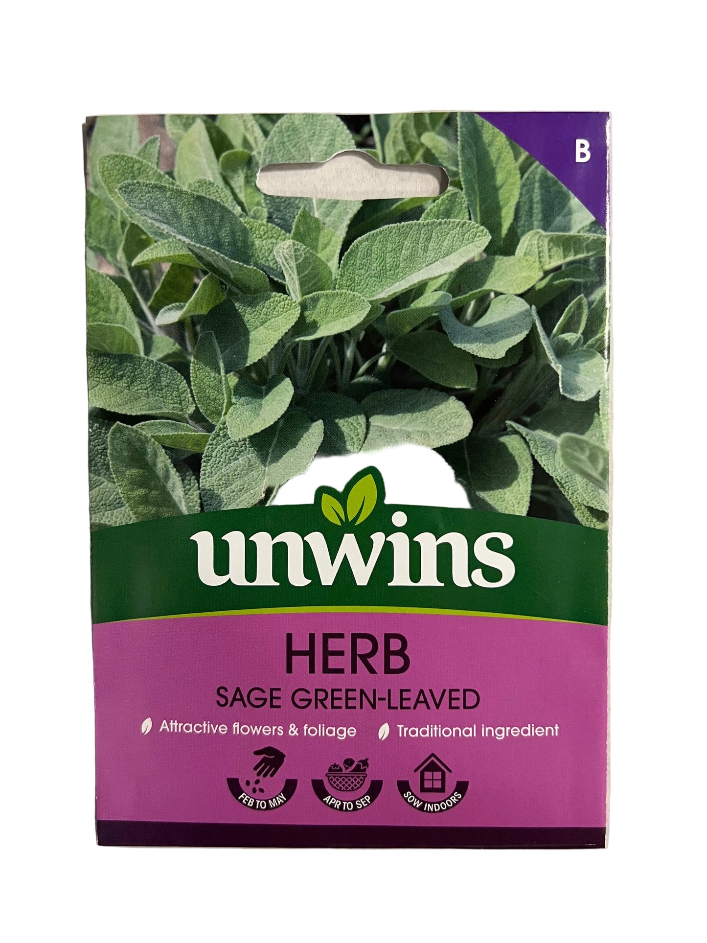 Unwins Herb Sage Green-Leaved – Herb Seeds
