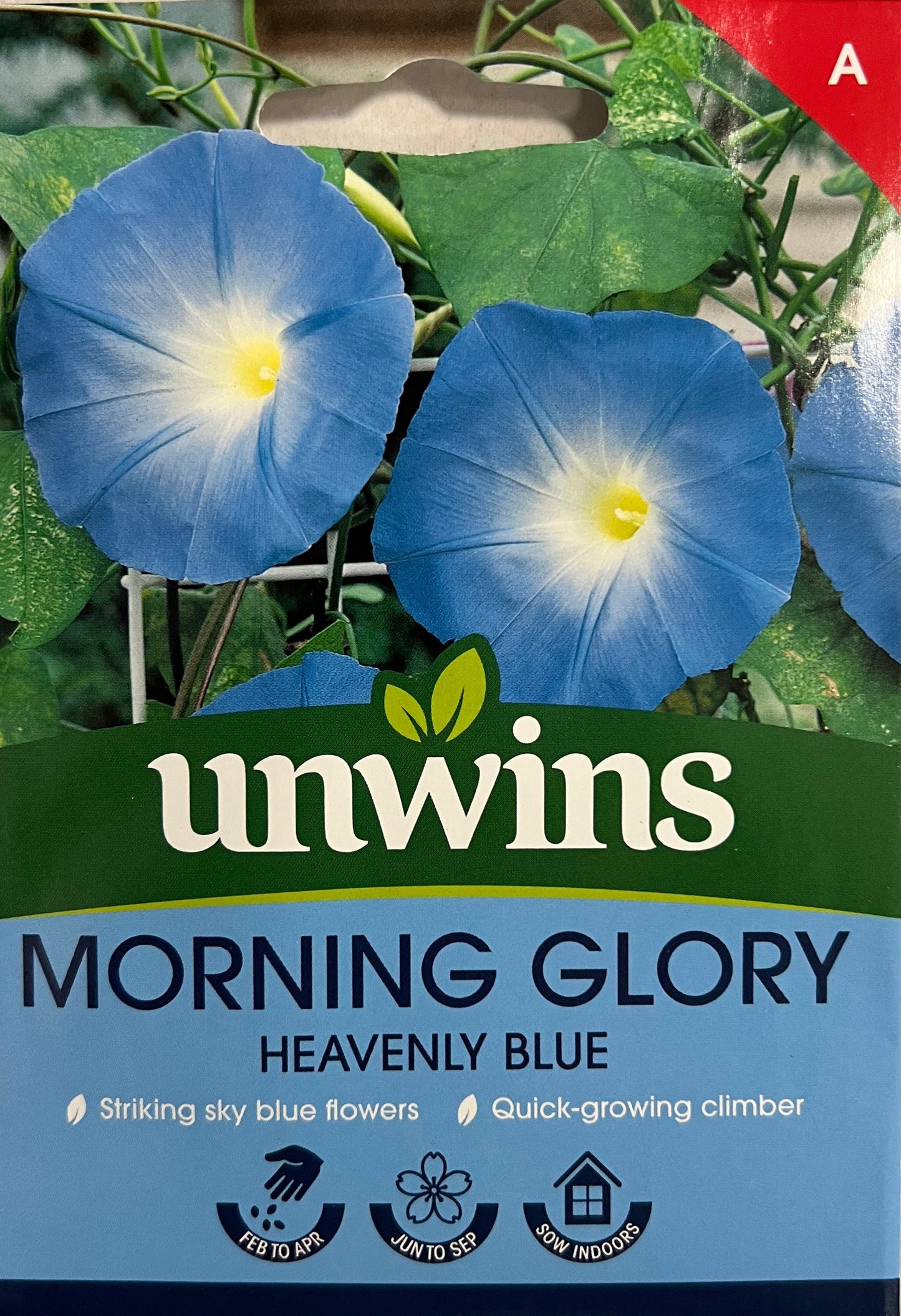 Unwins Morning Glory Heavenly Blue – Flower Seeds