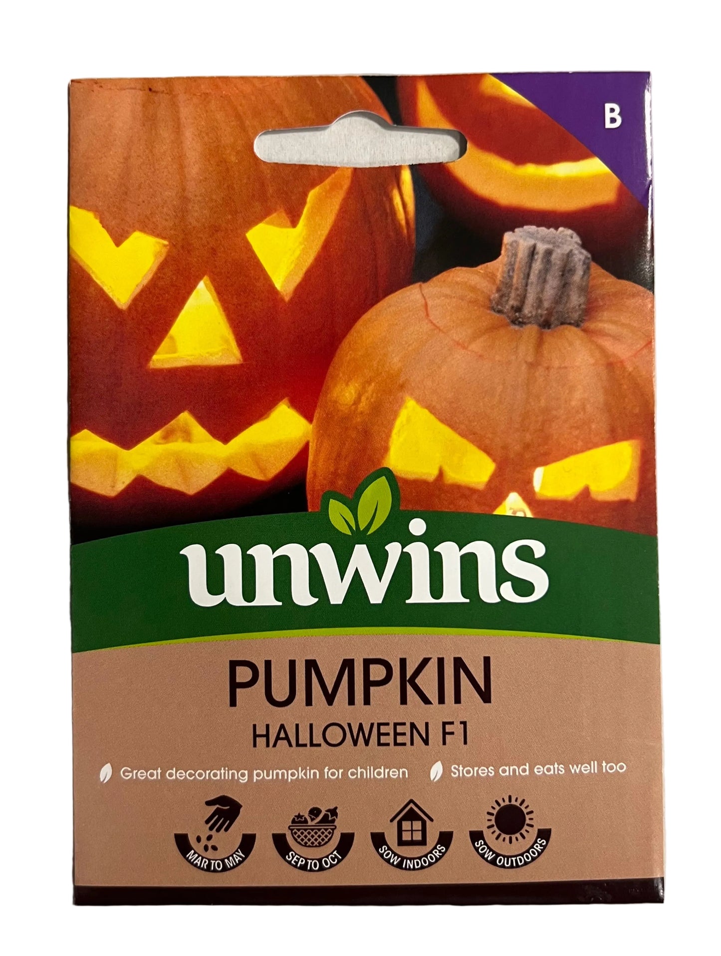Unwins Pumpkin Halloween F1 – Vegetable Seeds