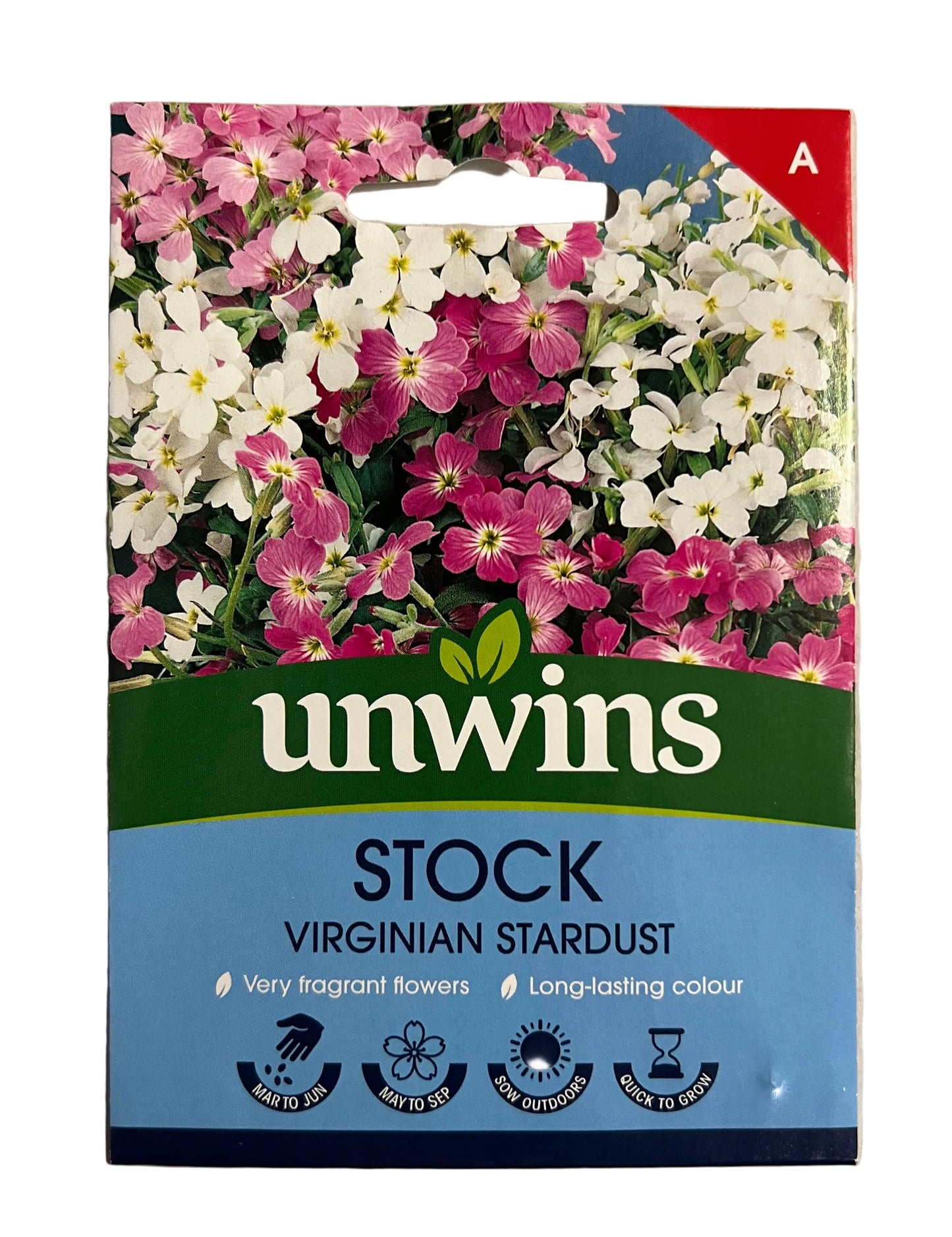 Unwins Stock Virginian Stardust – Flower Seeds