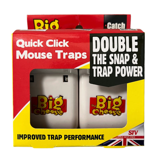 Big Cheese Quick Click Mouse Trap 2 Pack Ready Baited