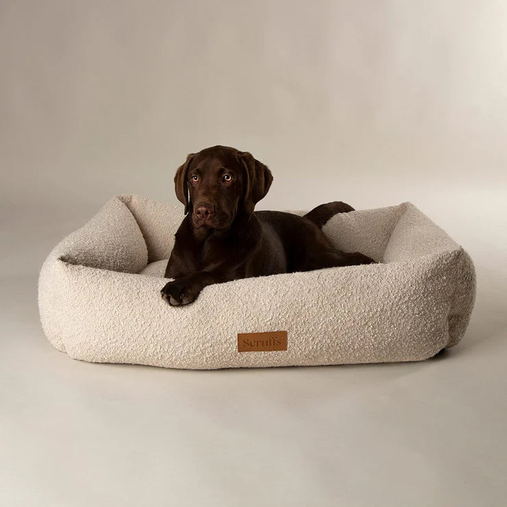 Scruffs Ivory Boucle Box Dog Bed