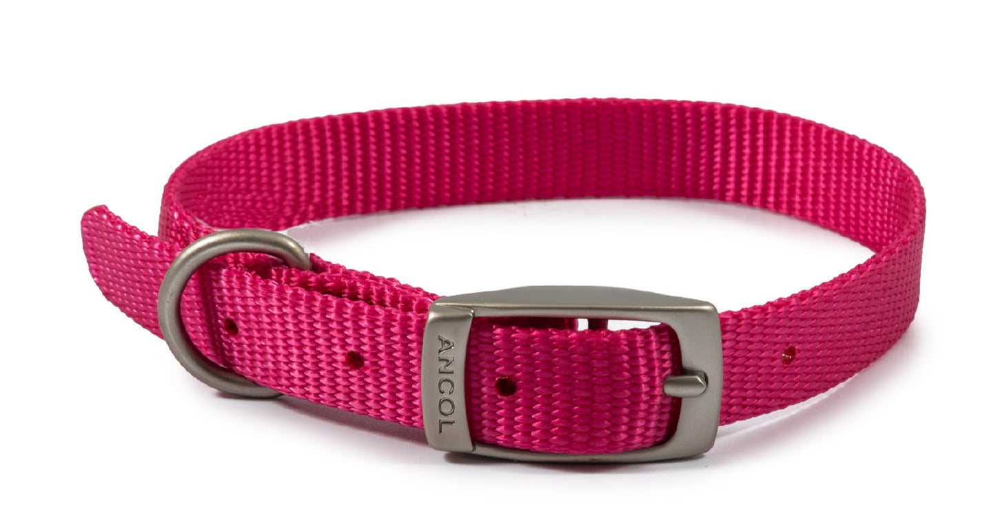 Ancol Viva Buckle Dog Collar multiple sizes and colours