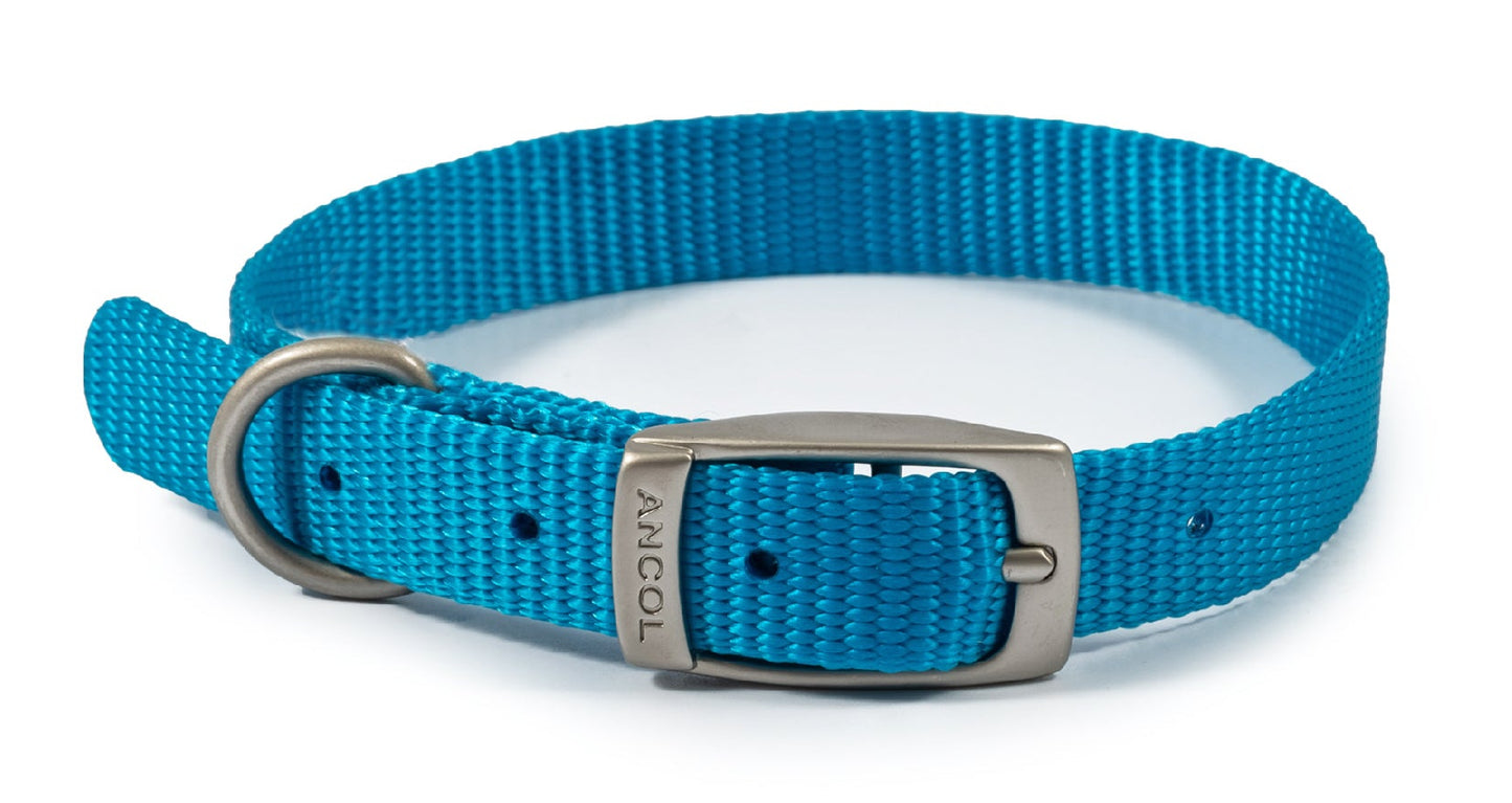 Ancol Viva Buckle Dog Collar multiple sizes and colours