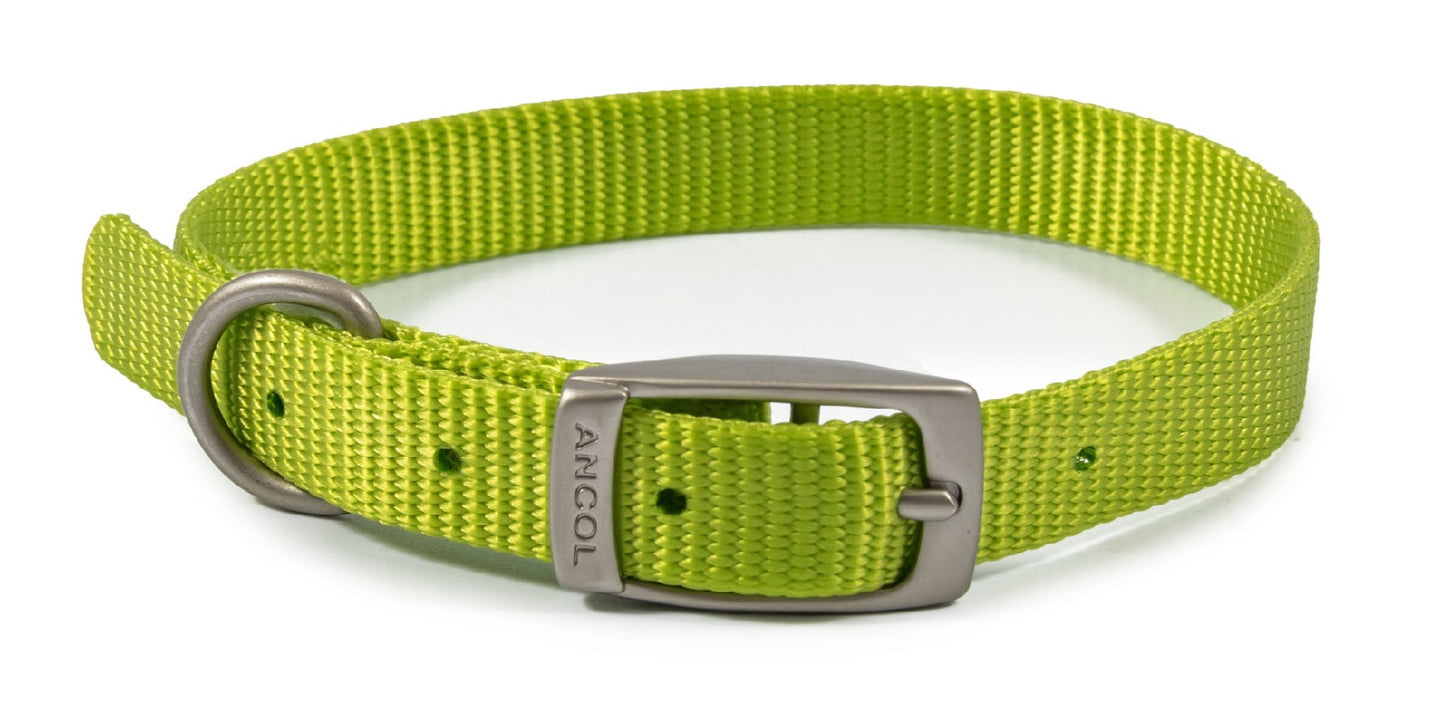 Ancol Viva Buckle Dog Collar multiple sizes and colours
