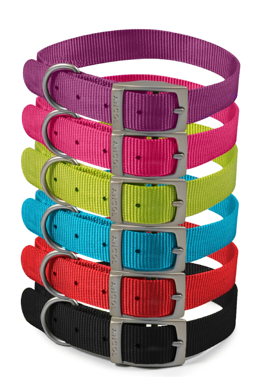 Ancol Viva Buckle Dog Collar multiple sizes and colours