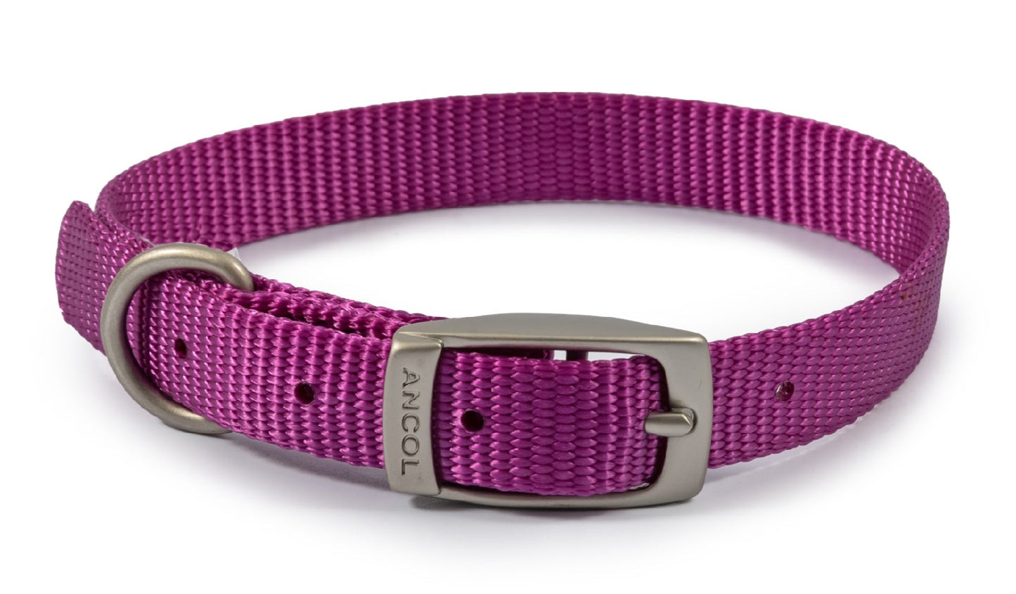 Ancol Viva Buckle Dog Collar multiple sizes and colours