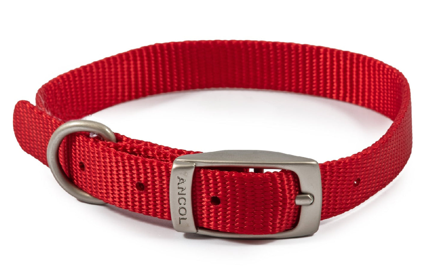 Ancol Viva Buckle Dog Collar multiple sizes and colours