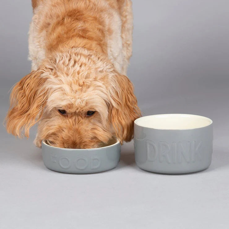 Scruffs Classic Dog Food Bowl
