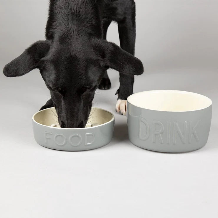 Scruffs Classic Dog Water Bowl