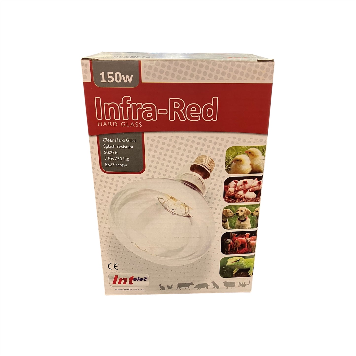 Interlec Clear Bulb 150W