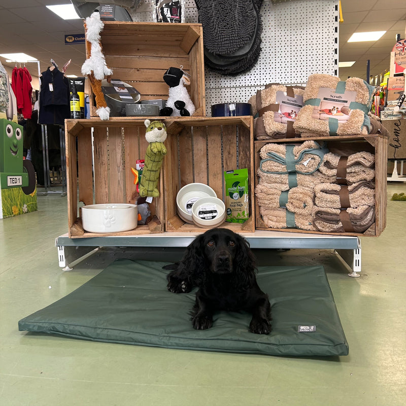 County Duvet Waterproof Dog Bed