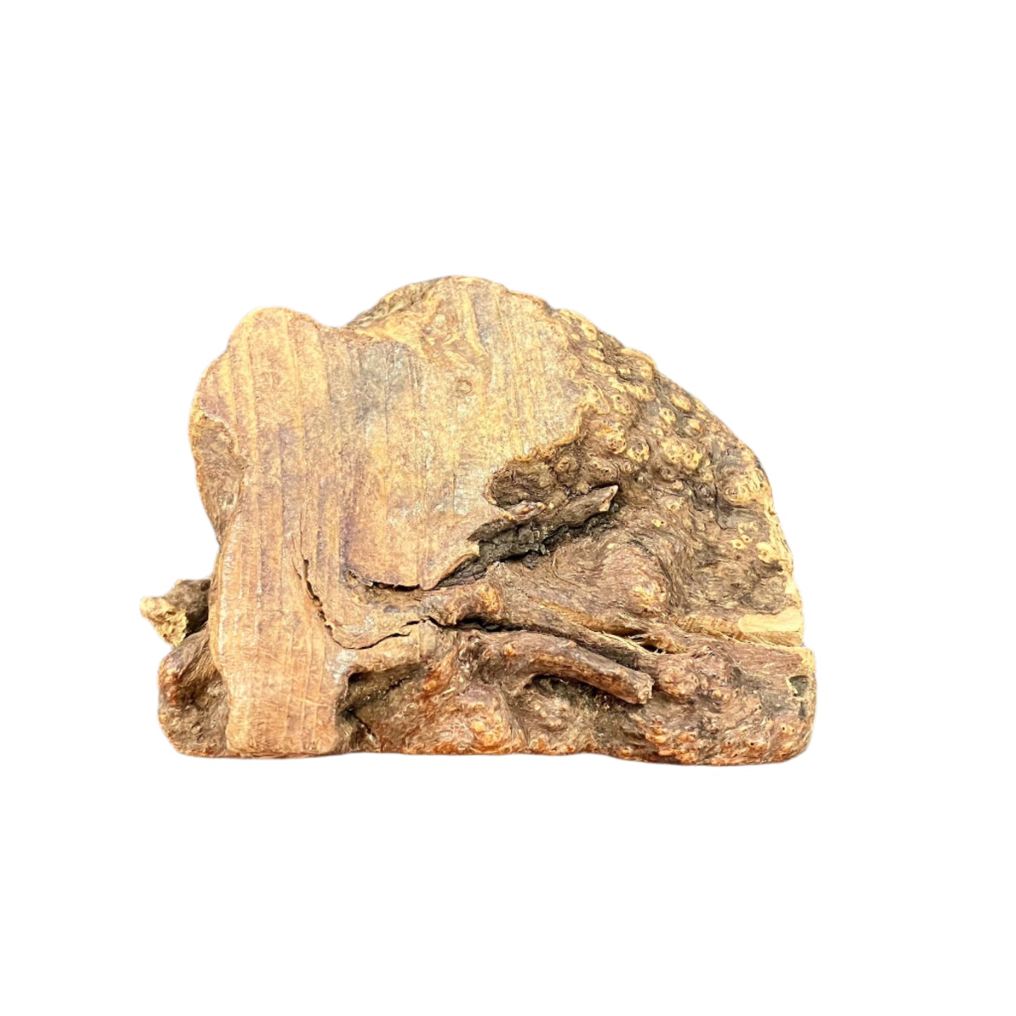 Anco Roots Small 100% Natural Long Lasting Dog Chew