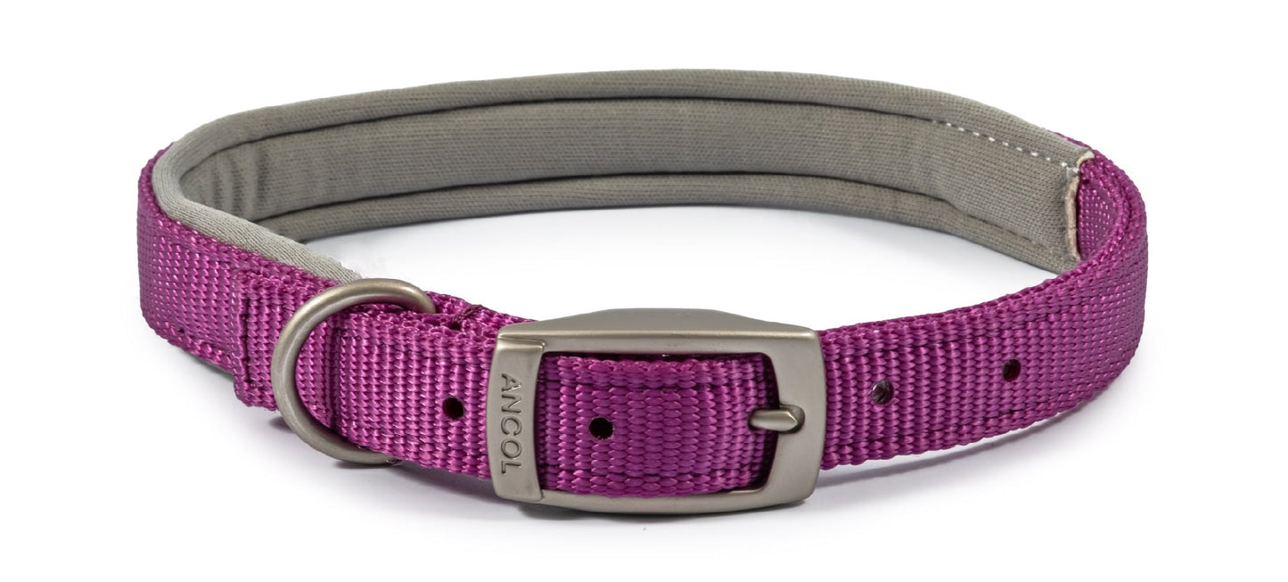 Ancol Buckle Padded Weather proof Viva Dog Collar