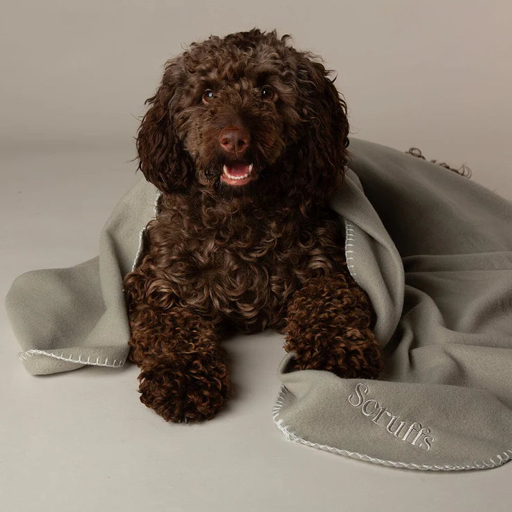 Scruffs Expedition Pet Blanket