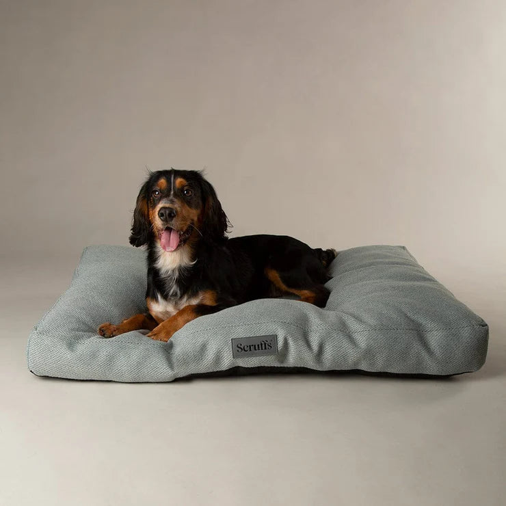 Scruffs Seattle Luxury Dog Bed Mattress