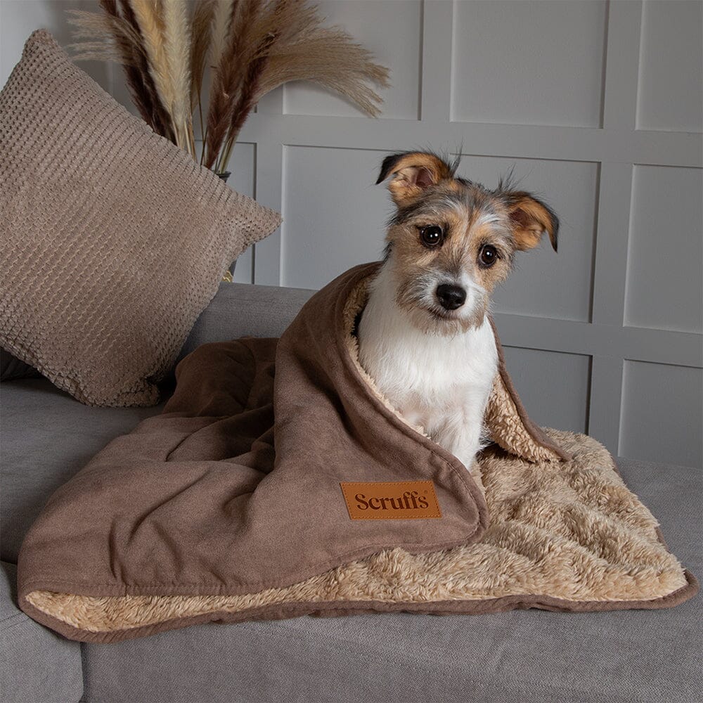 Scruffs Snuggle Pet Blanket