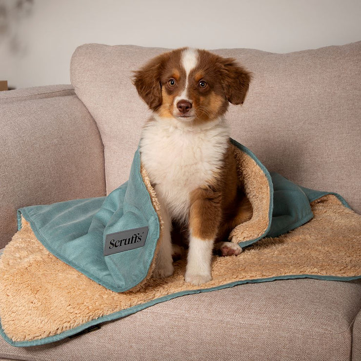 Scruffs Snuggle Pet Blanket