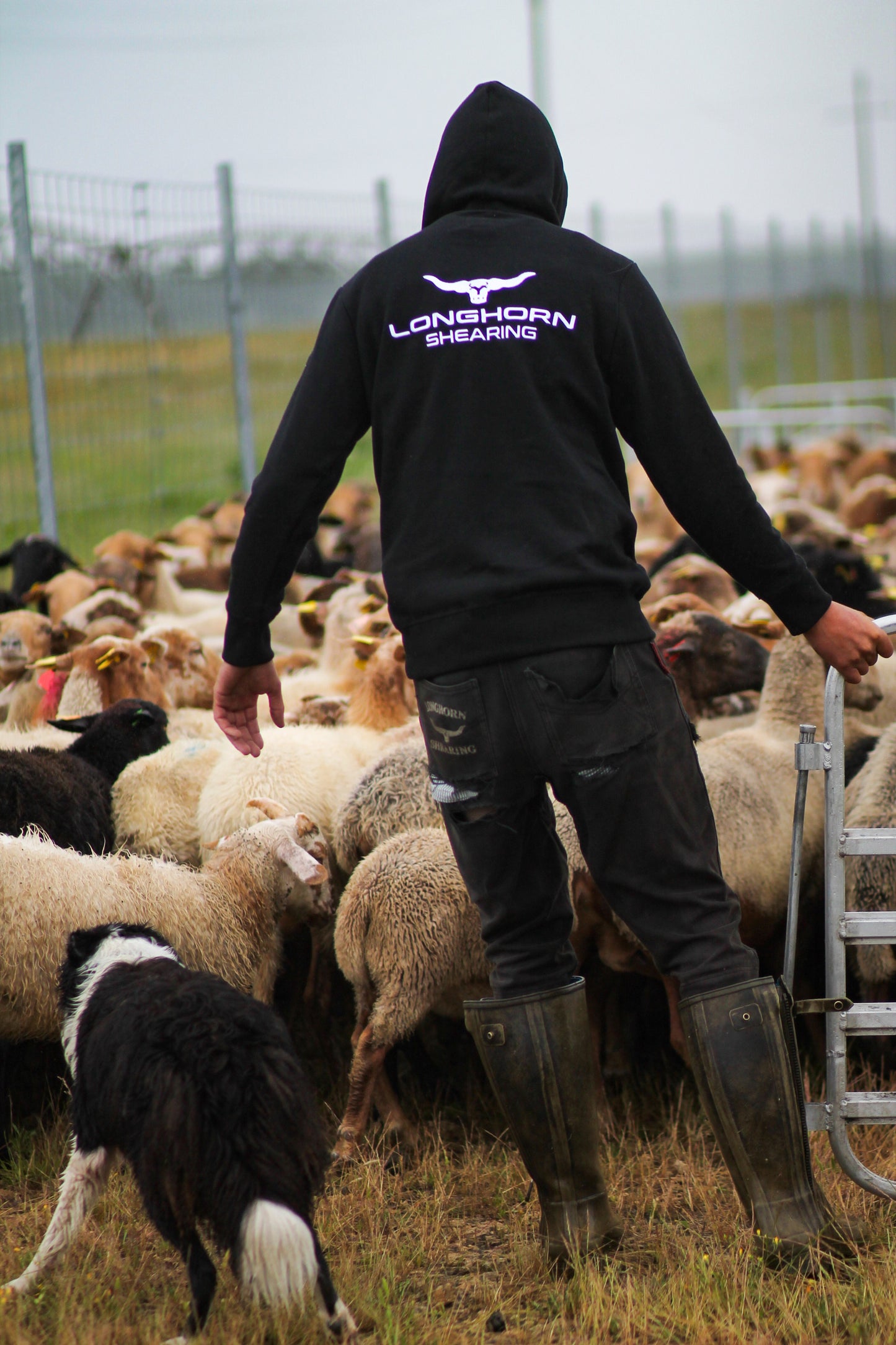 Horner Longhorn Shearing Signature Series Hoodie