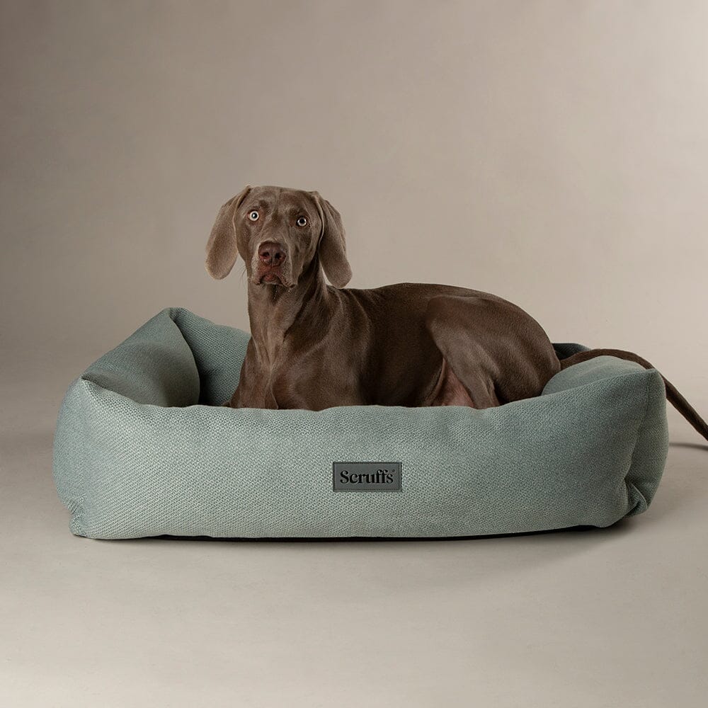 Scruffs Seattle Box Bed