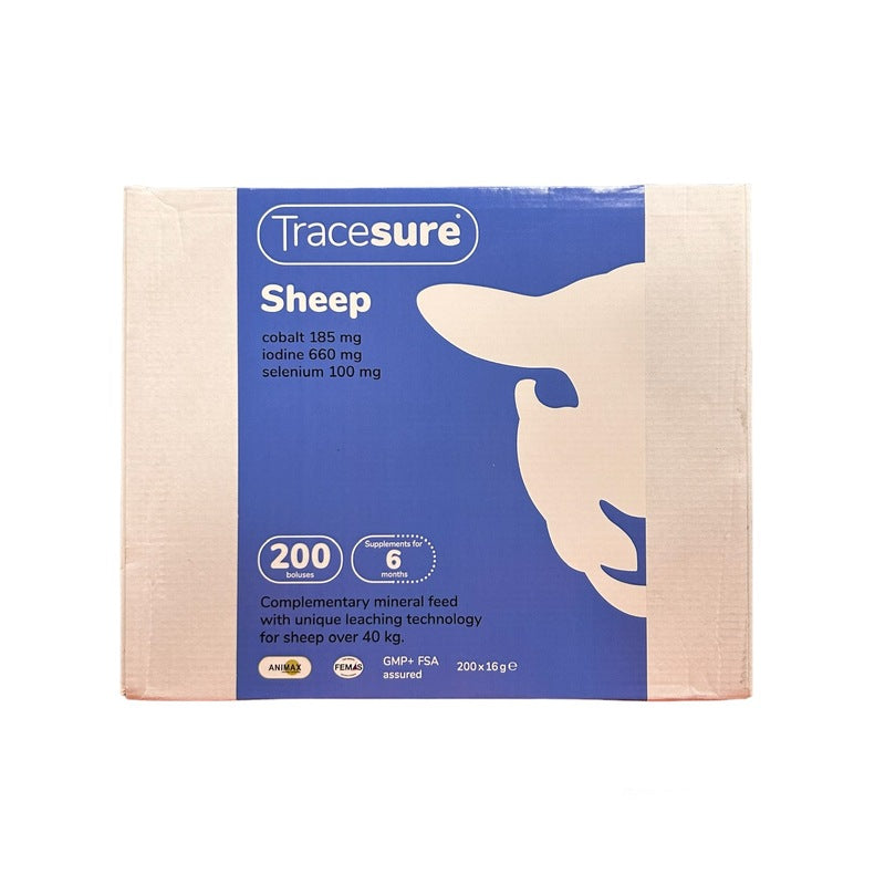 Tracesure Sheep and Lamb Bolus