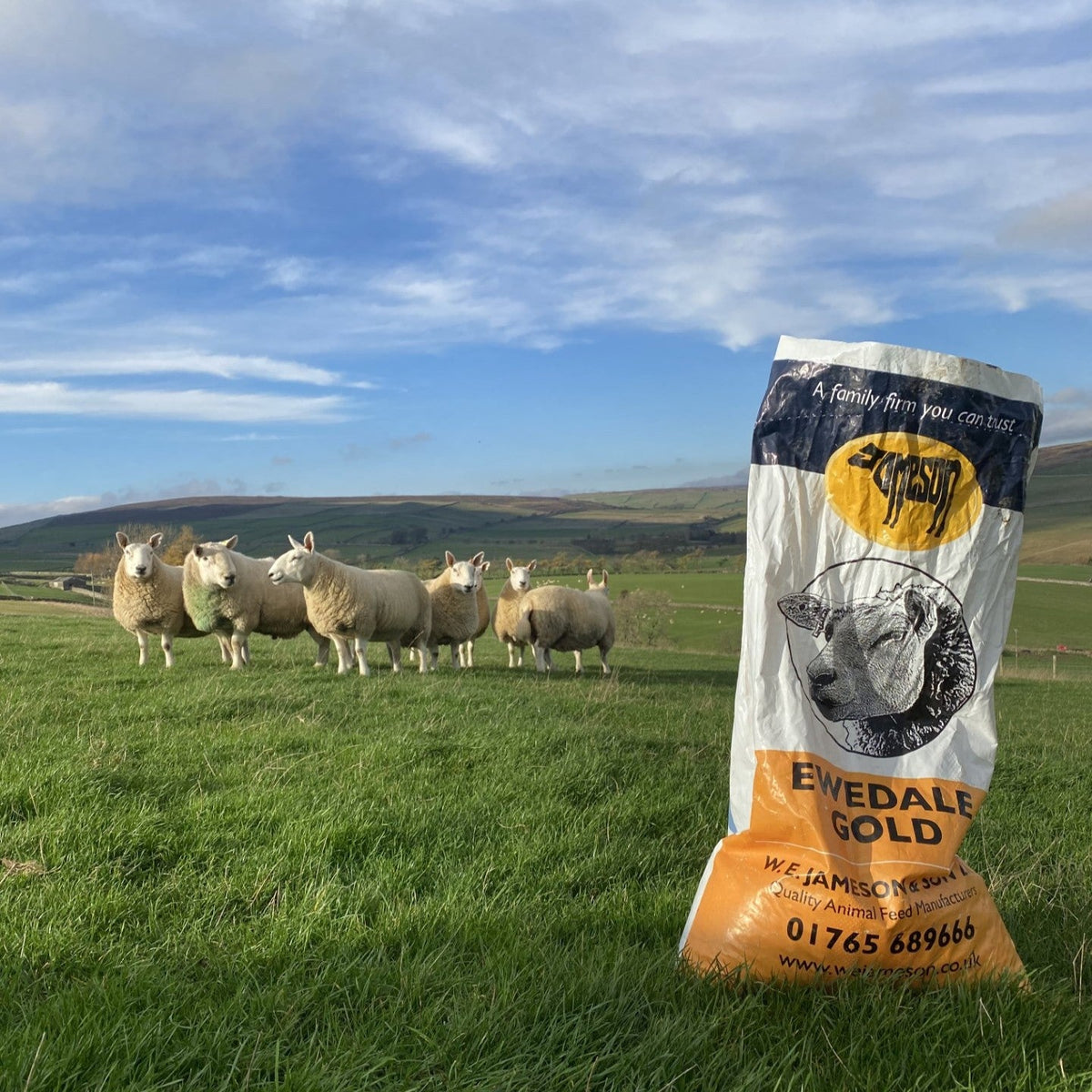 Tupping Essentials