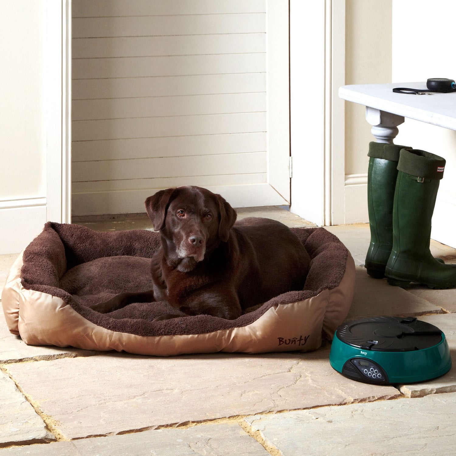 Dog Beds