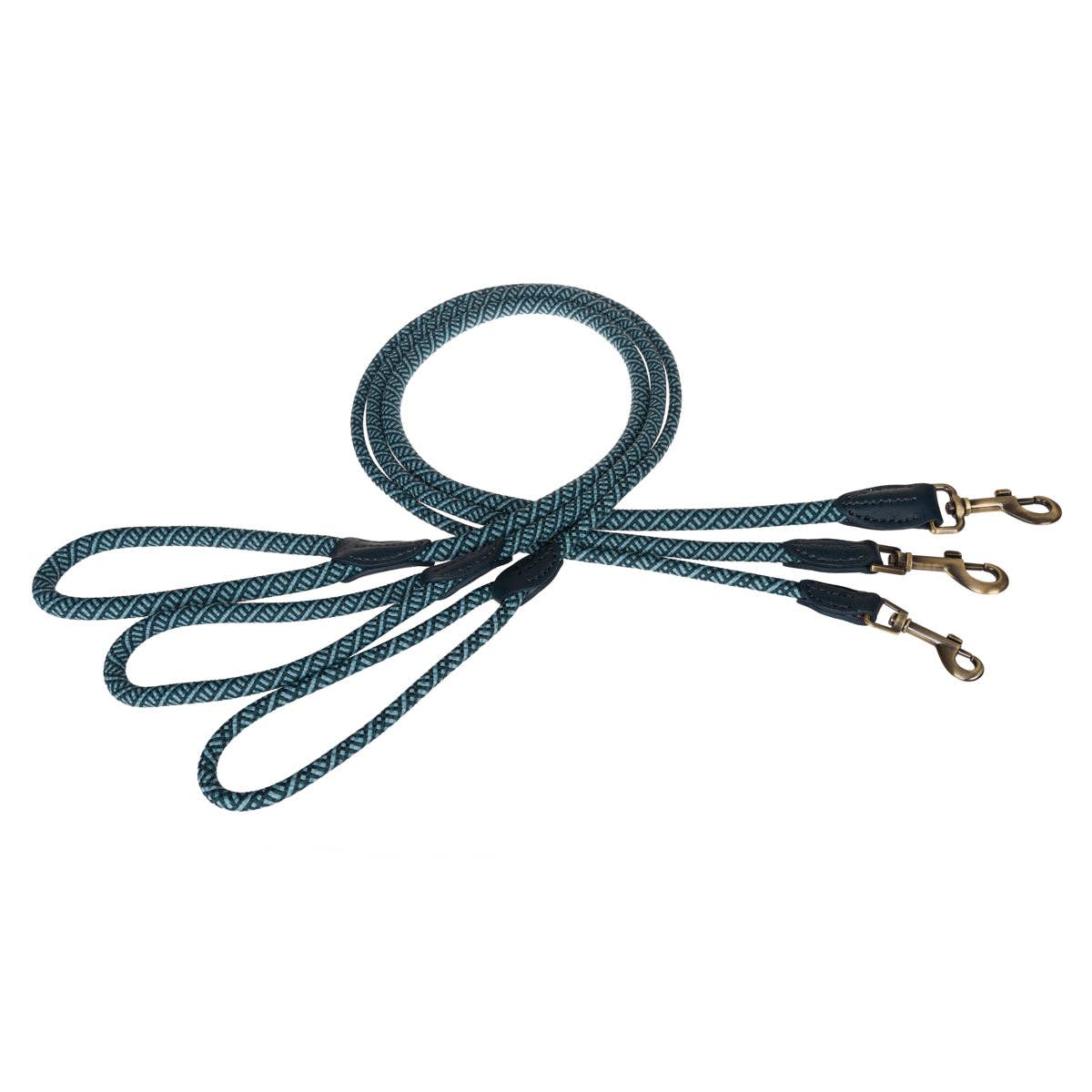 Teal Rope Dog Lead