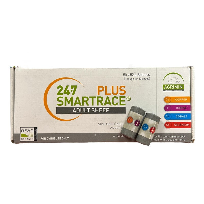 24-7 Smartrace Ewe Plus Bolus 50