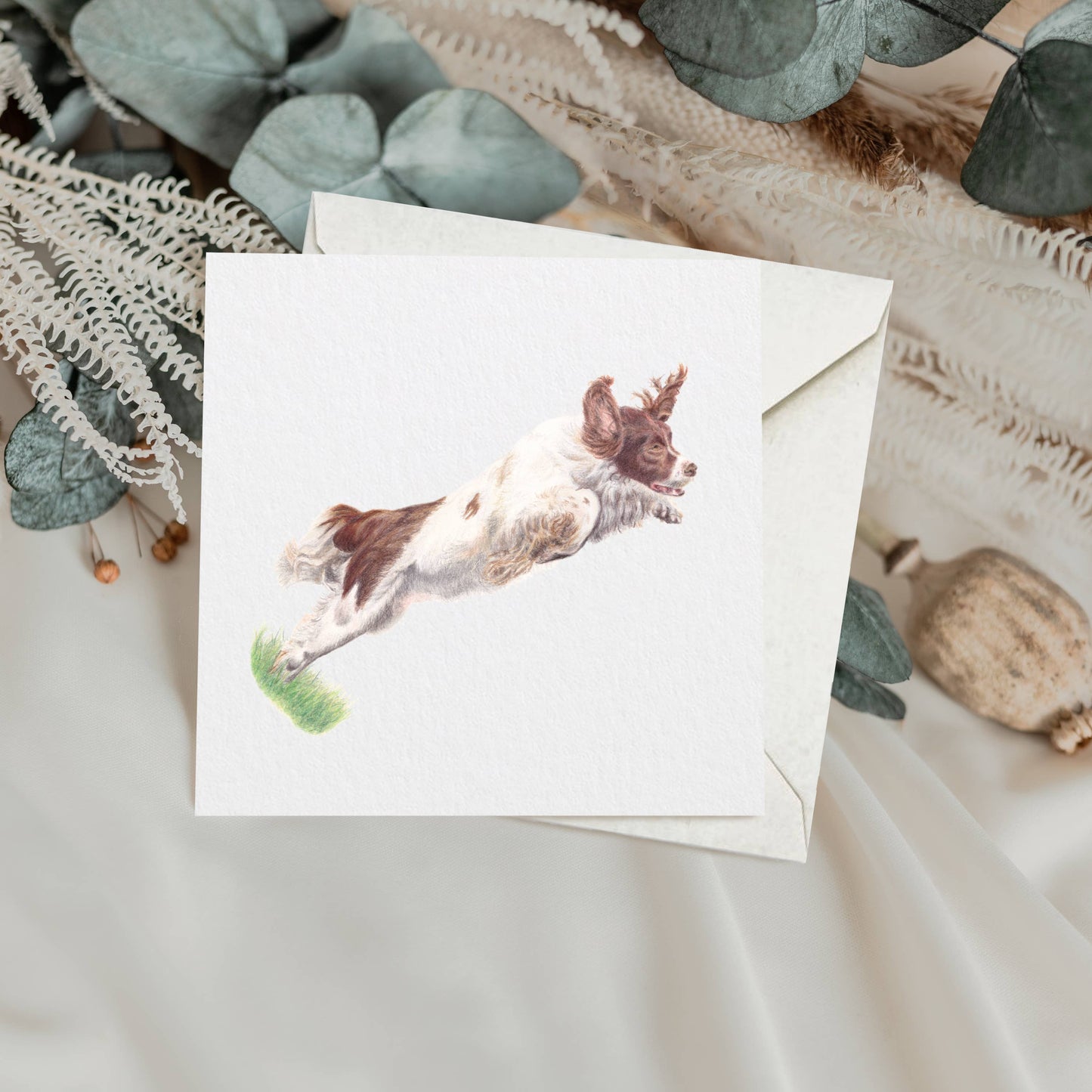 Springer Spaniel Greetings Card | Dog Card