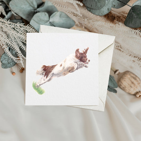 Springer Spaniel Greetings Card | Dog Card