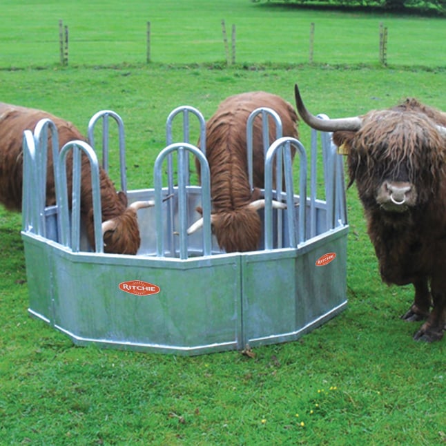 Ritchie Heavy Duty Tombstone Feed Ring