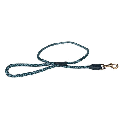 Teal Rope Dog Lead