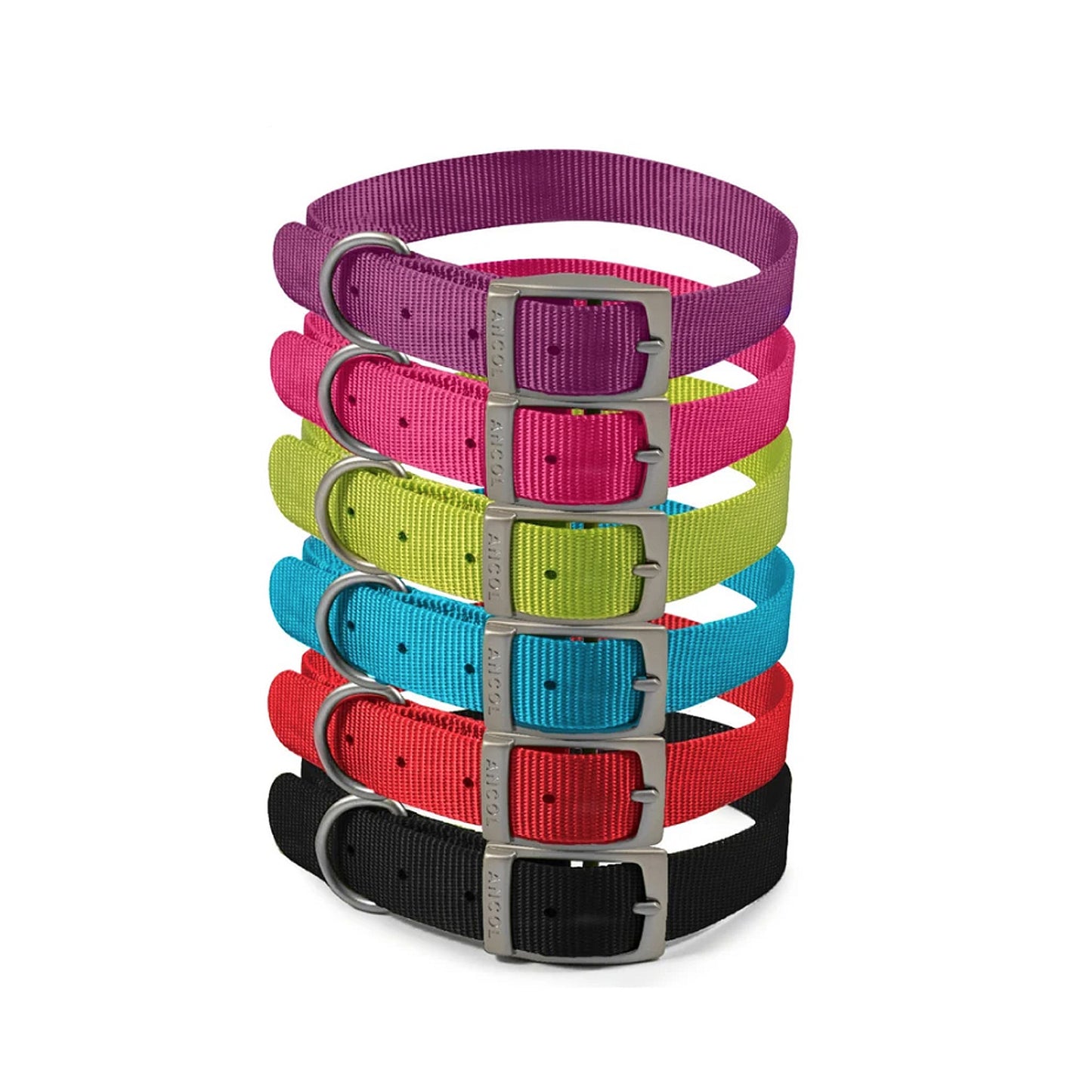 Ancol Viva Buckle Dog Collar