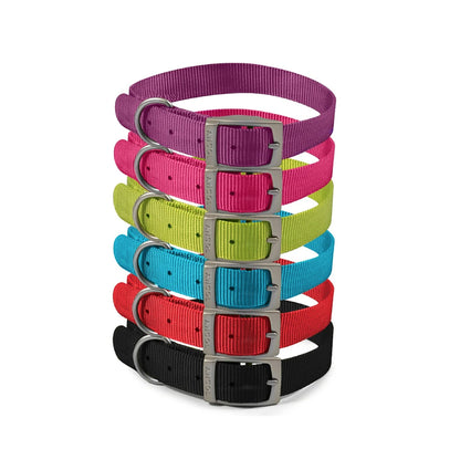 Ancol Viva Buckle Dog Collar