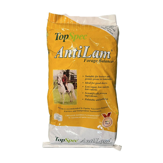 Top Spec Anti Lam Forage Balancer For Horses