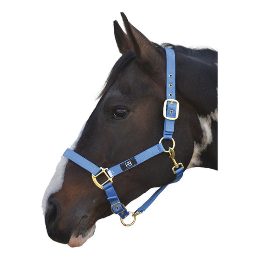 HY Adjustable Horse Head Collar Blue
