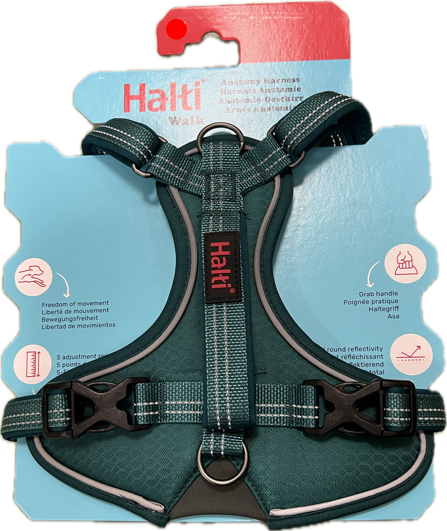Halti Walk Dog Anatomy Harness In Teal or Magenta