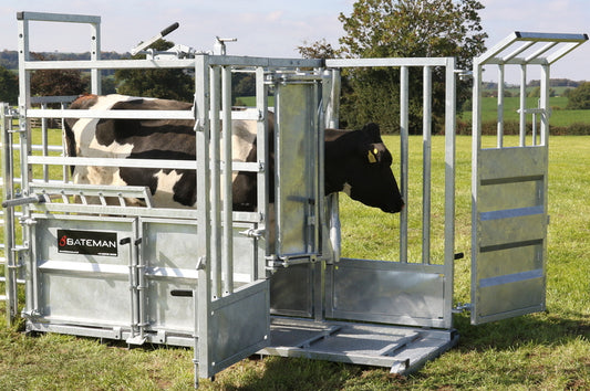 Bateman Hybrid Cattle Crush