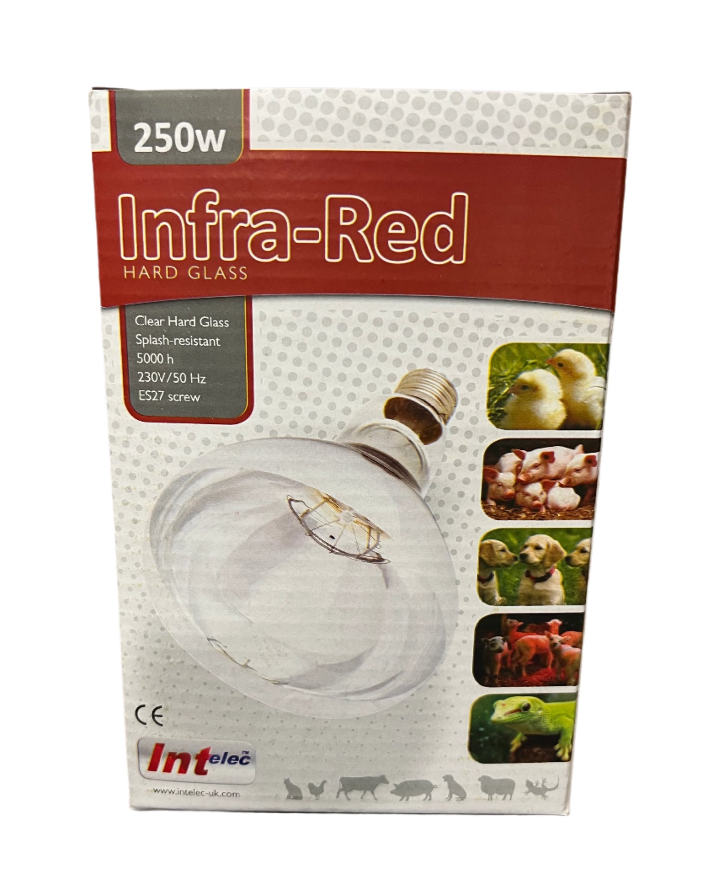 Infra-Red Bulb Clear 250W