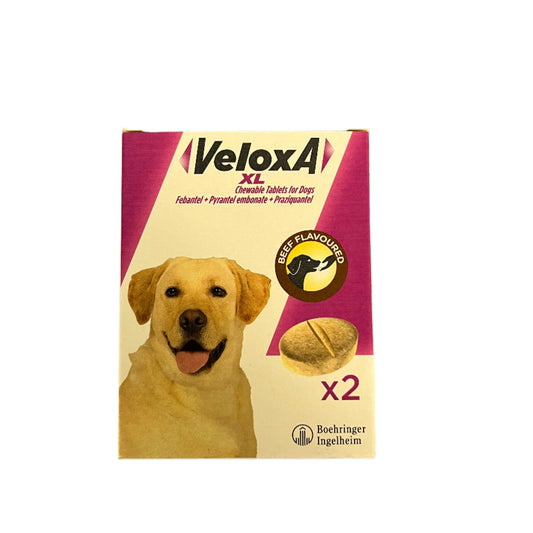 Veloxa XL 2 Pack Beef Flavoured Chewable Worming Tablets For Dogs