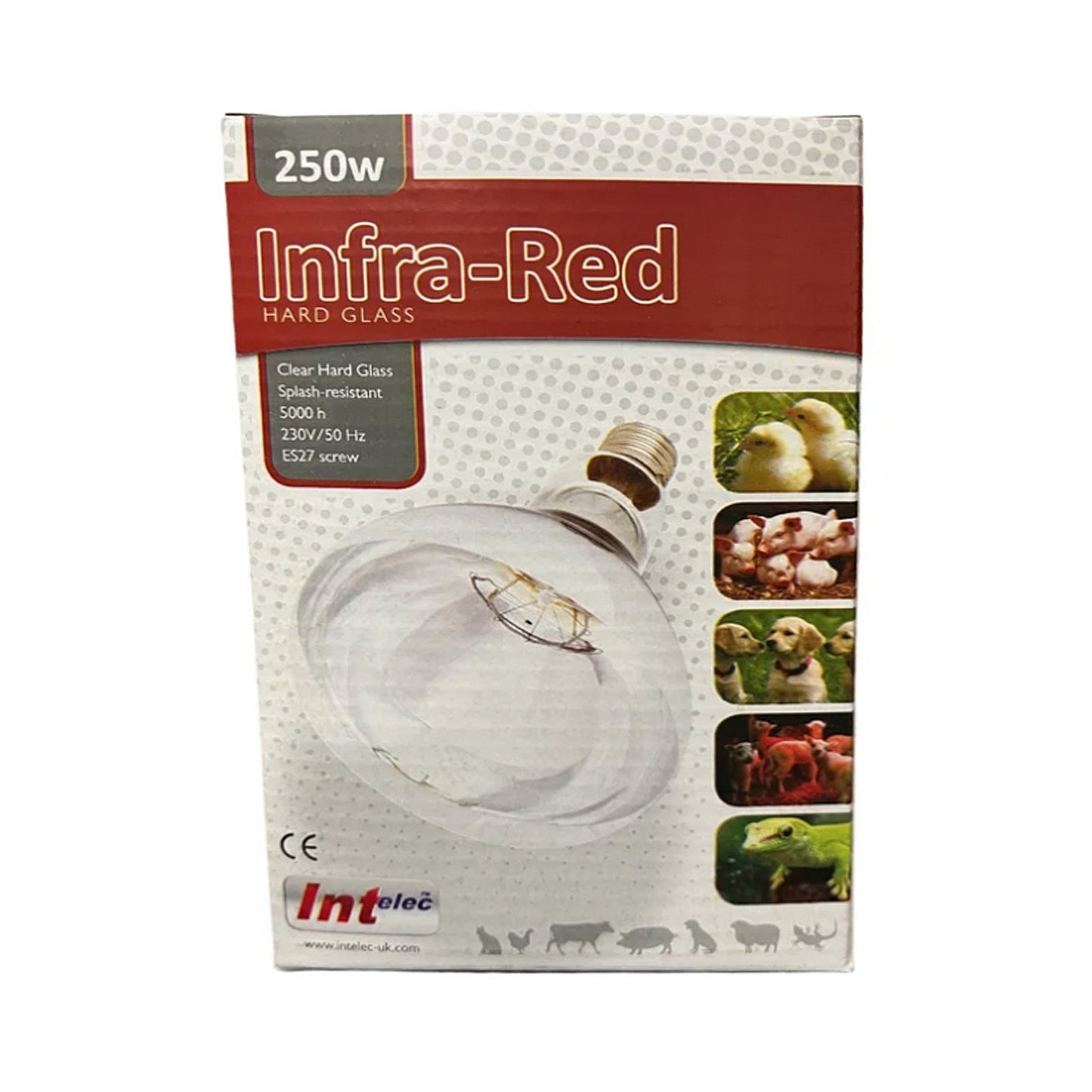 Infra-Red Clear Hard Glass Bulb 250W ES27