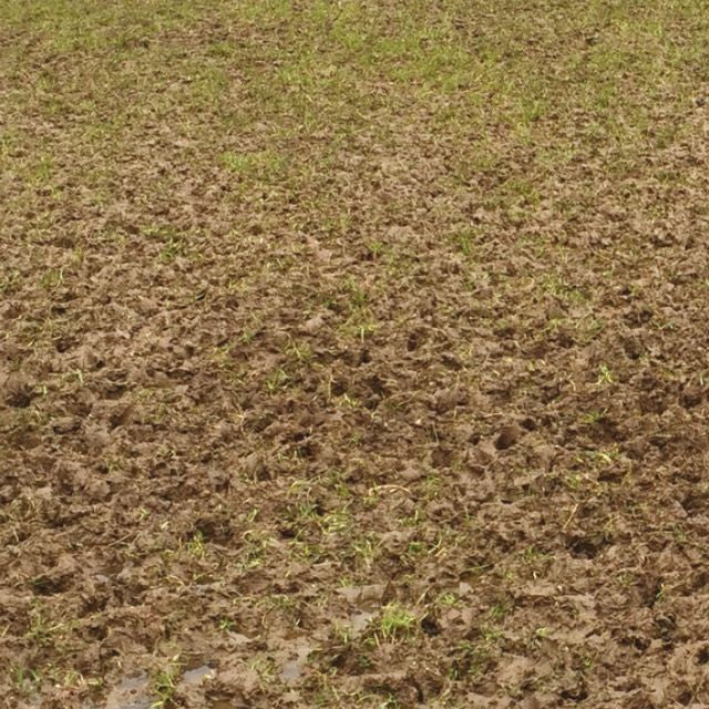 REJUVENATOR NO. 10 - 10kg/acre