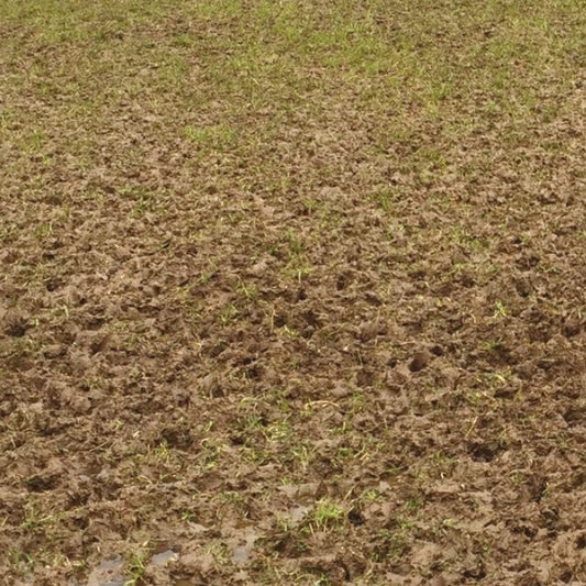REJUVENATOR NO. 10 - 10kg/acre