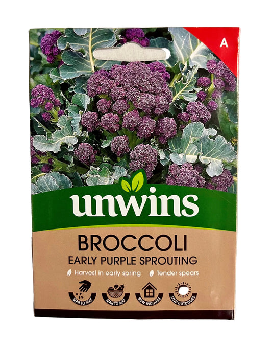 Unwins Broccoli Early Purple Sprouting – Vegetable Seeds